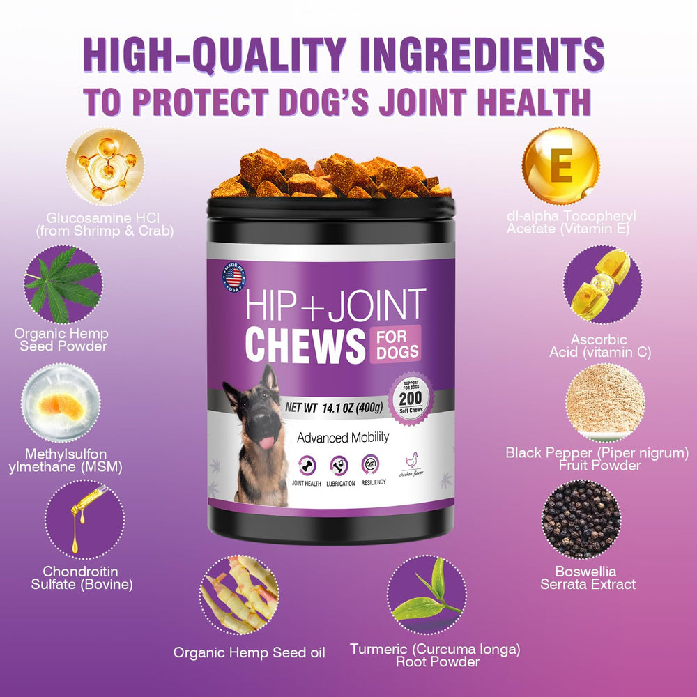 TTLXRL Glucosamine dog mobility action captures dogs moving with comfort