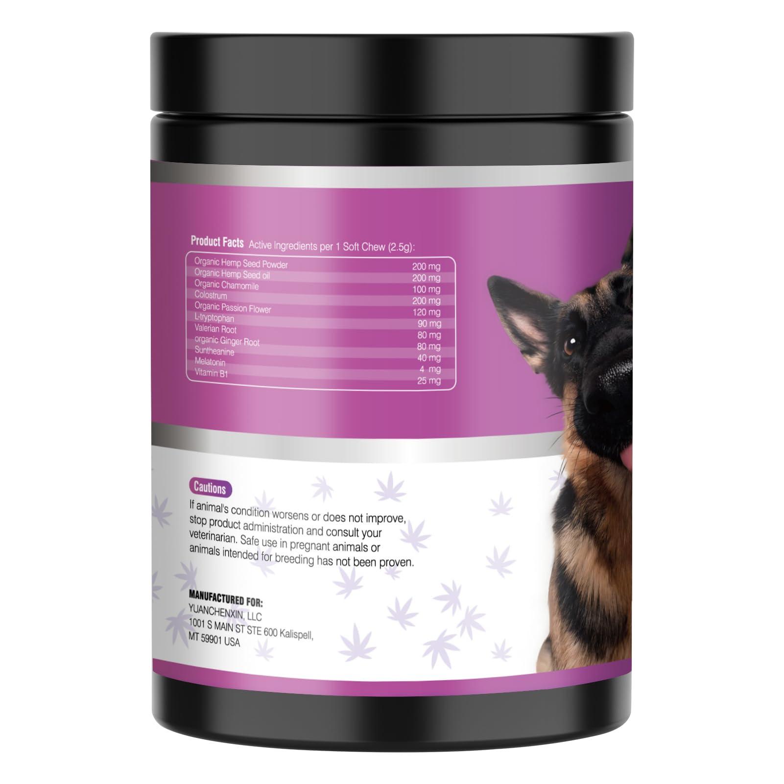 TTLXRL hemp calming chews display showing 200 count bottle and calm dog use