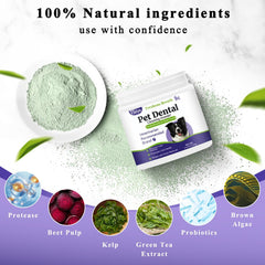 TTsiya dog teeth cleaning powder in a bowl demonstrates effortless oral care without brushing.