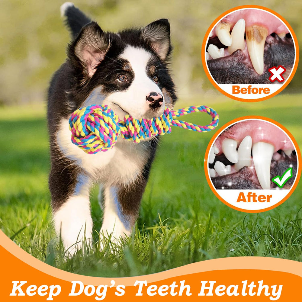 TUAHOO dog tug bungee dog playing scene showcases engaging tug-and-pull fun outdoors.