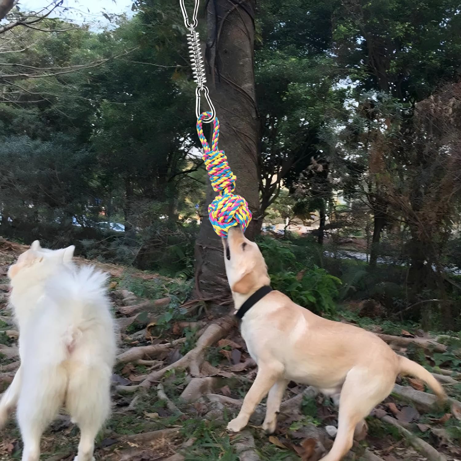 TUAHOO dog tug bungee package included image shows two rope toys in the box.