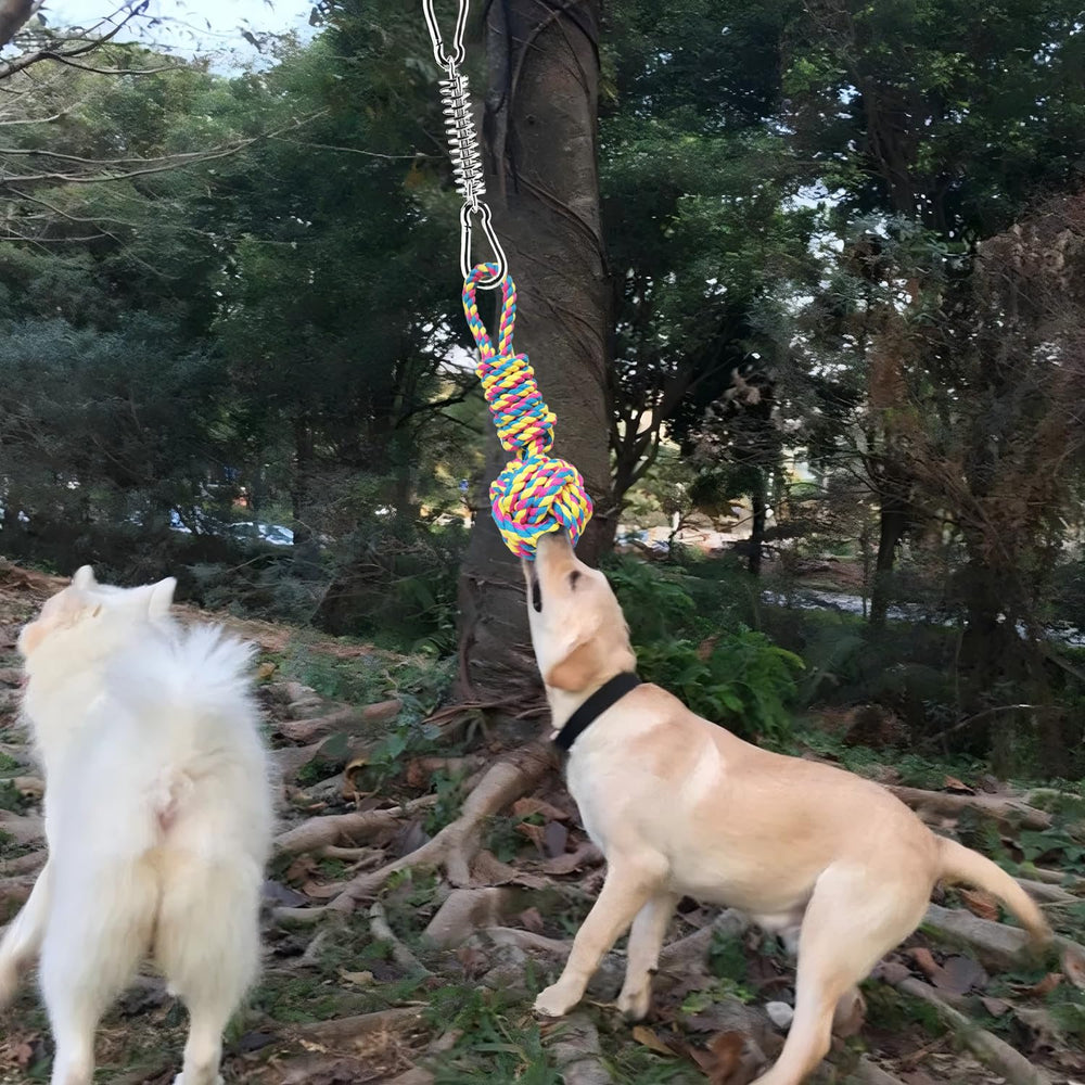 TUAHOO dog tug bungee package included image shows two rope toys in the box.