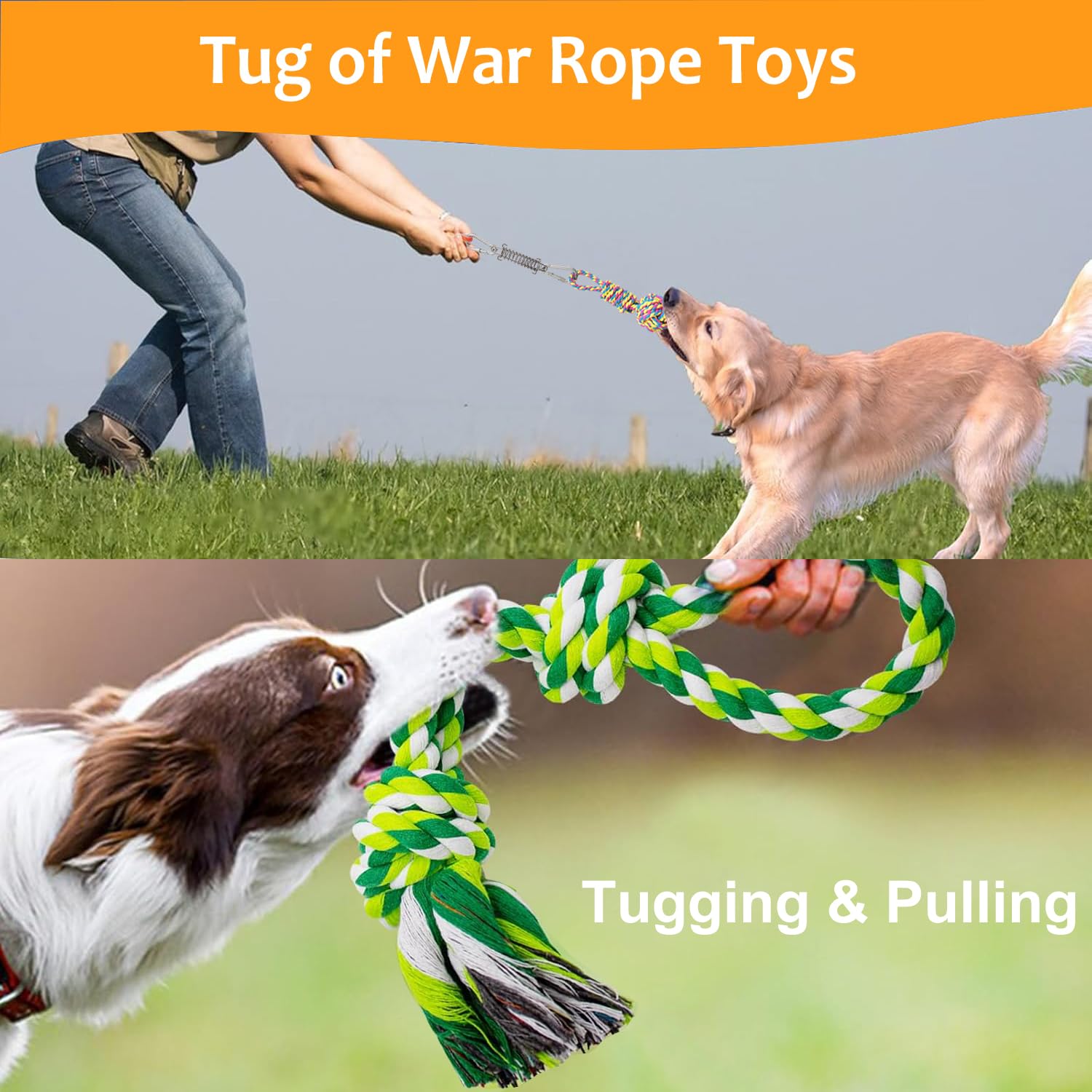 TUAHOO dog tug bungee pull-tug action illustrates dynamic chase and exercise in the yard.