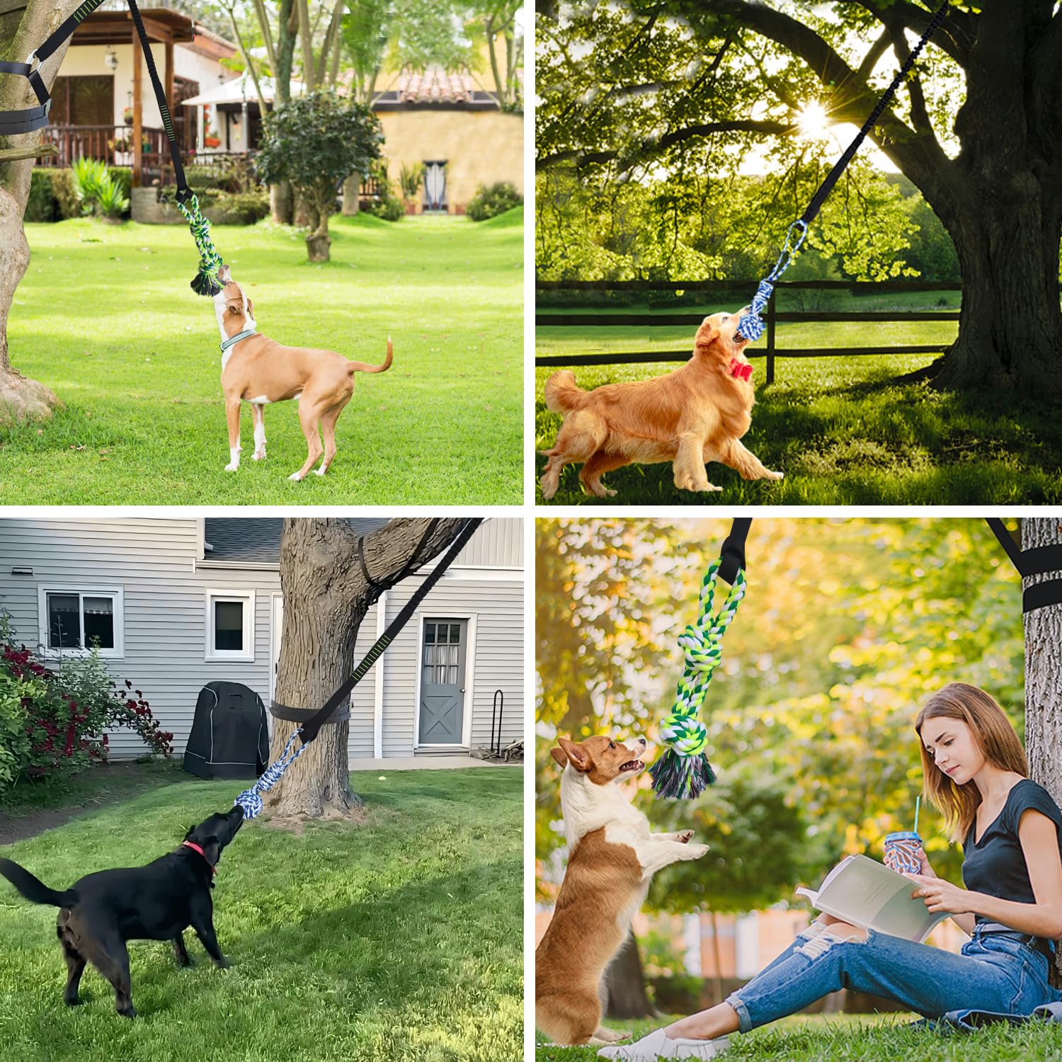 TUAHOO owner-toss interaction as dog pulls on one end
