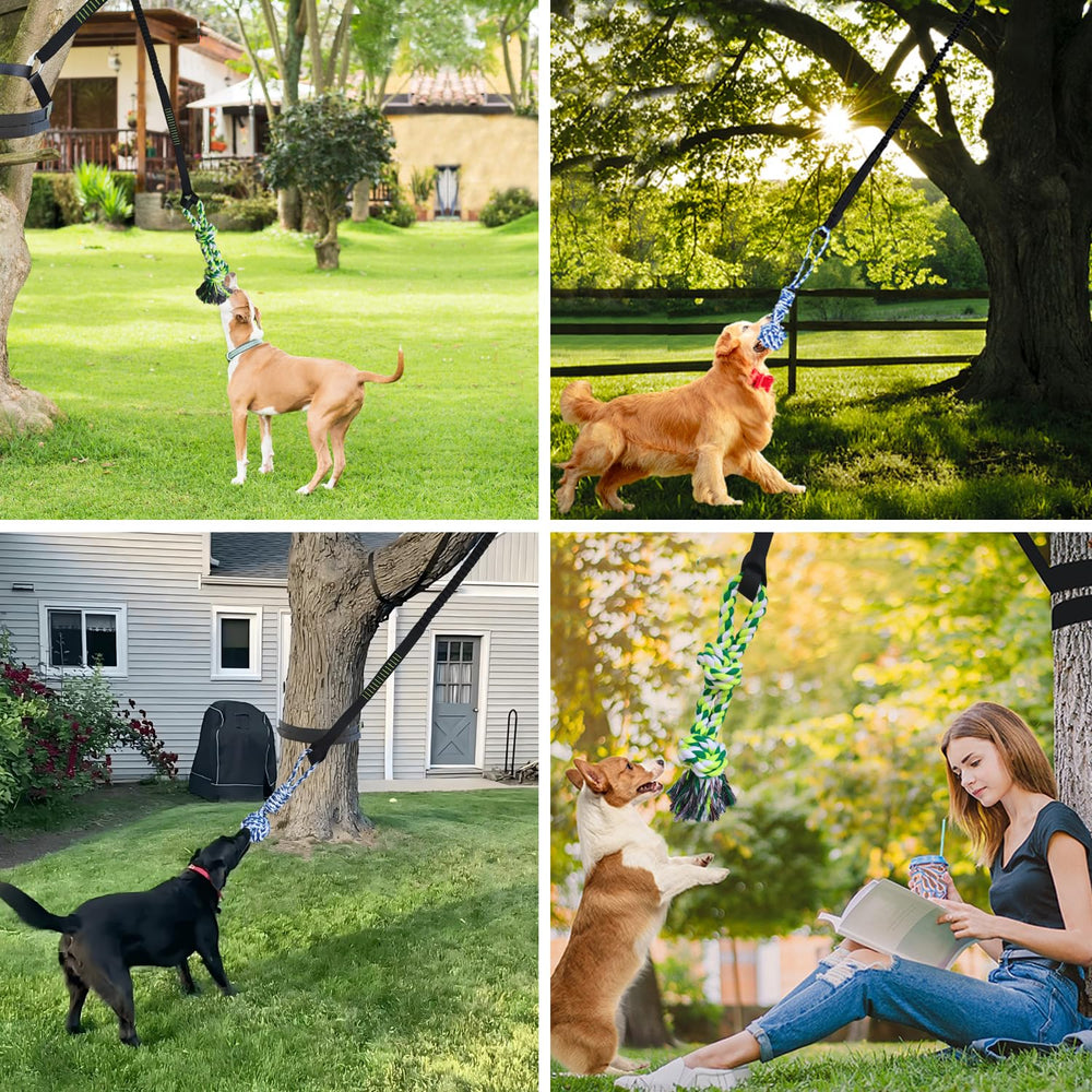 TUAHOO owner-toss interaction as dog pulls on one end