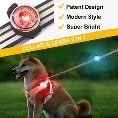 Tubasion dog lights clip-on design secures the collar during walks