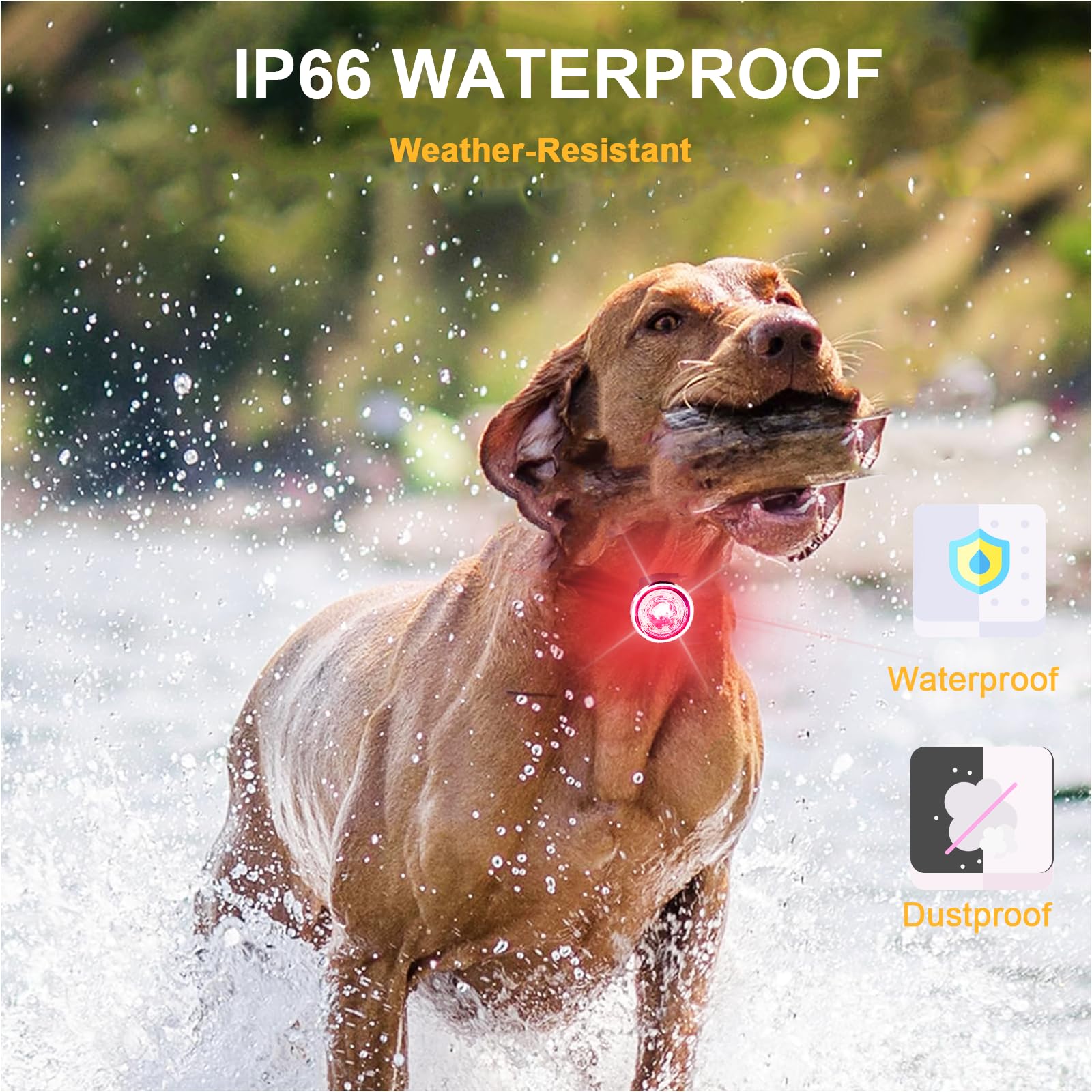 Tubasion IPX6 waterproof dog light ready for rain and snow days