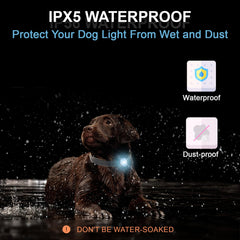 Luz Tubasion impermeable para collar de perro, adecuada ante lluvia ligera.