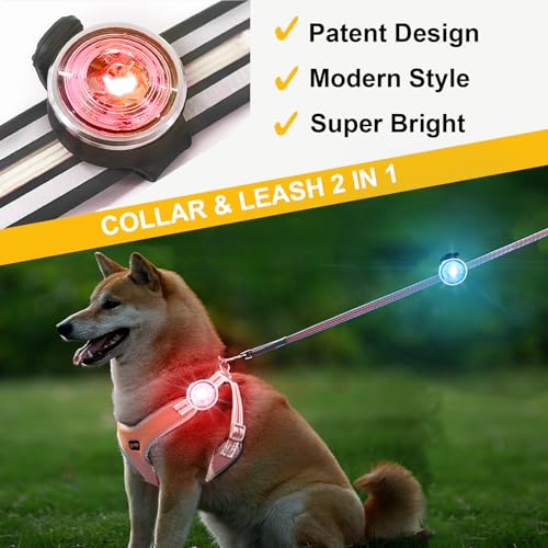 Tubasion two-pack dog lights in a compact, lightweight design for comfortable wear