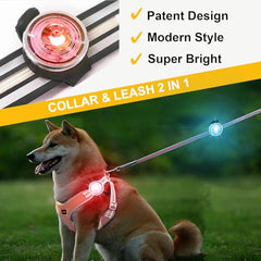 Tubasion two-pack dog lights in a compact, lightweight design for comfortable wear
