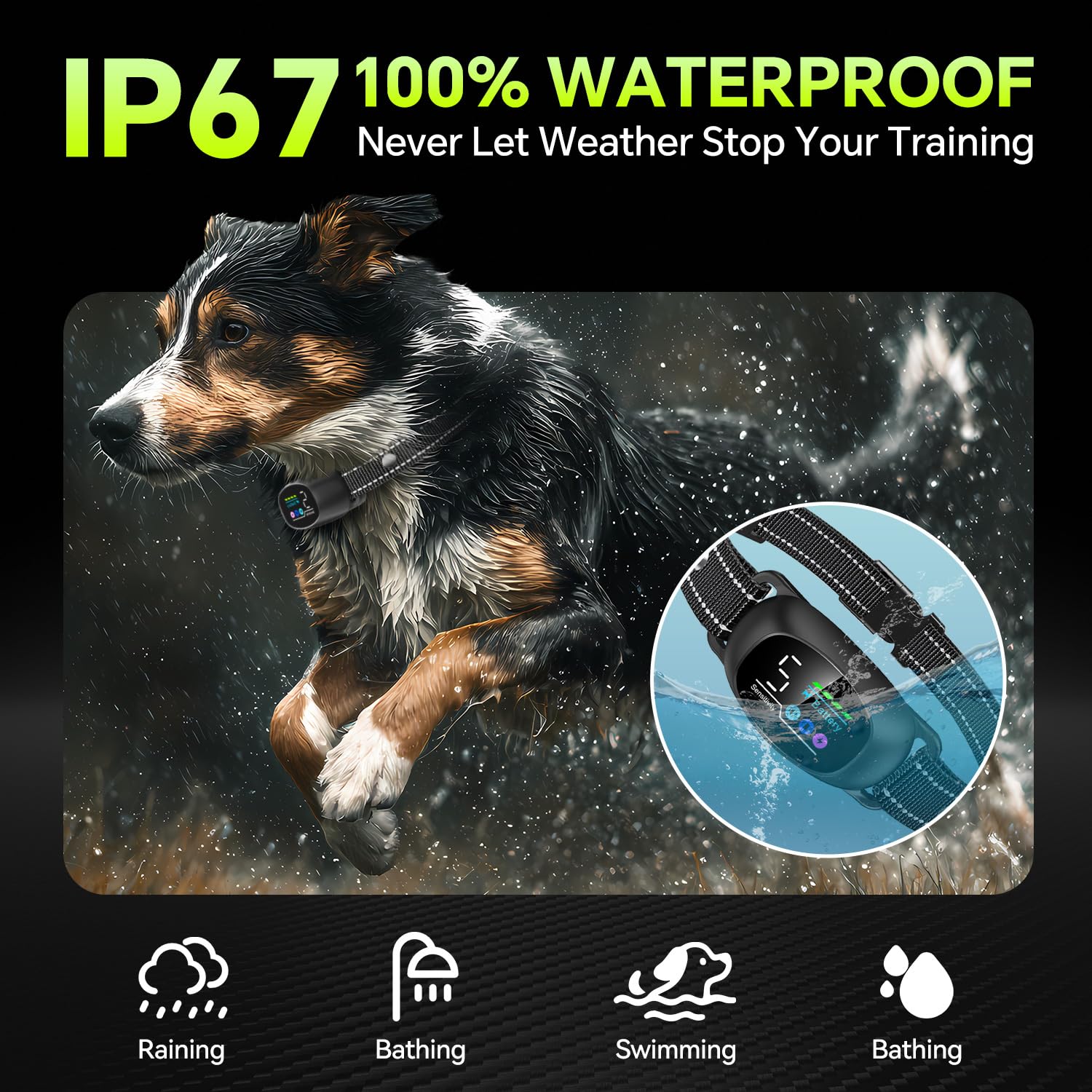 Tucnkac dog bark collar usage-scenario-yard showcases safe at-home training with IP67 weather resistance.