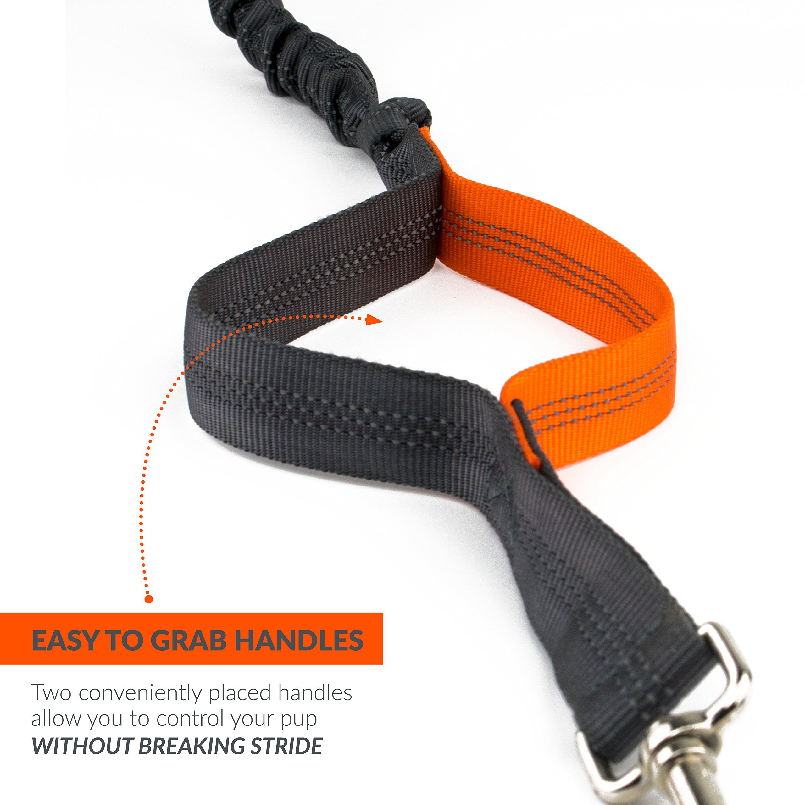 Tuff Mutt four-foot lead extending to five feet for extra space