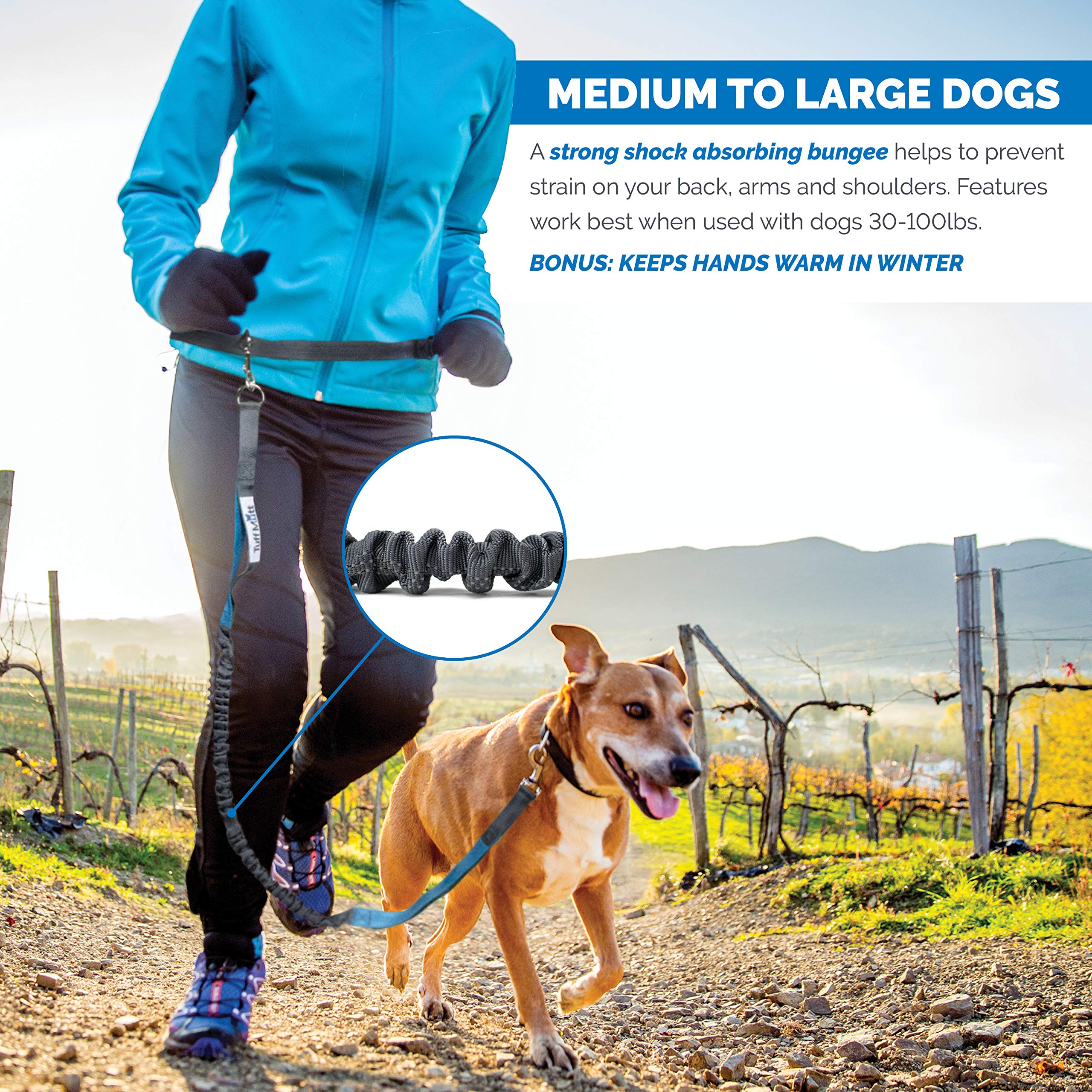 Tuff Mutt reflective thread stitching enhances visibility during walks