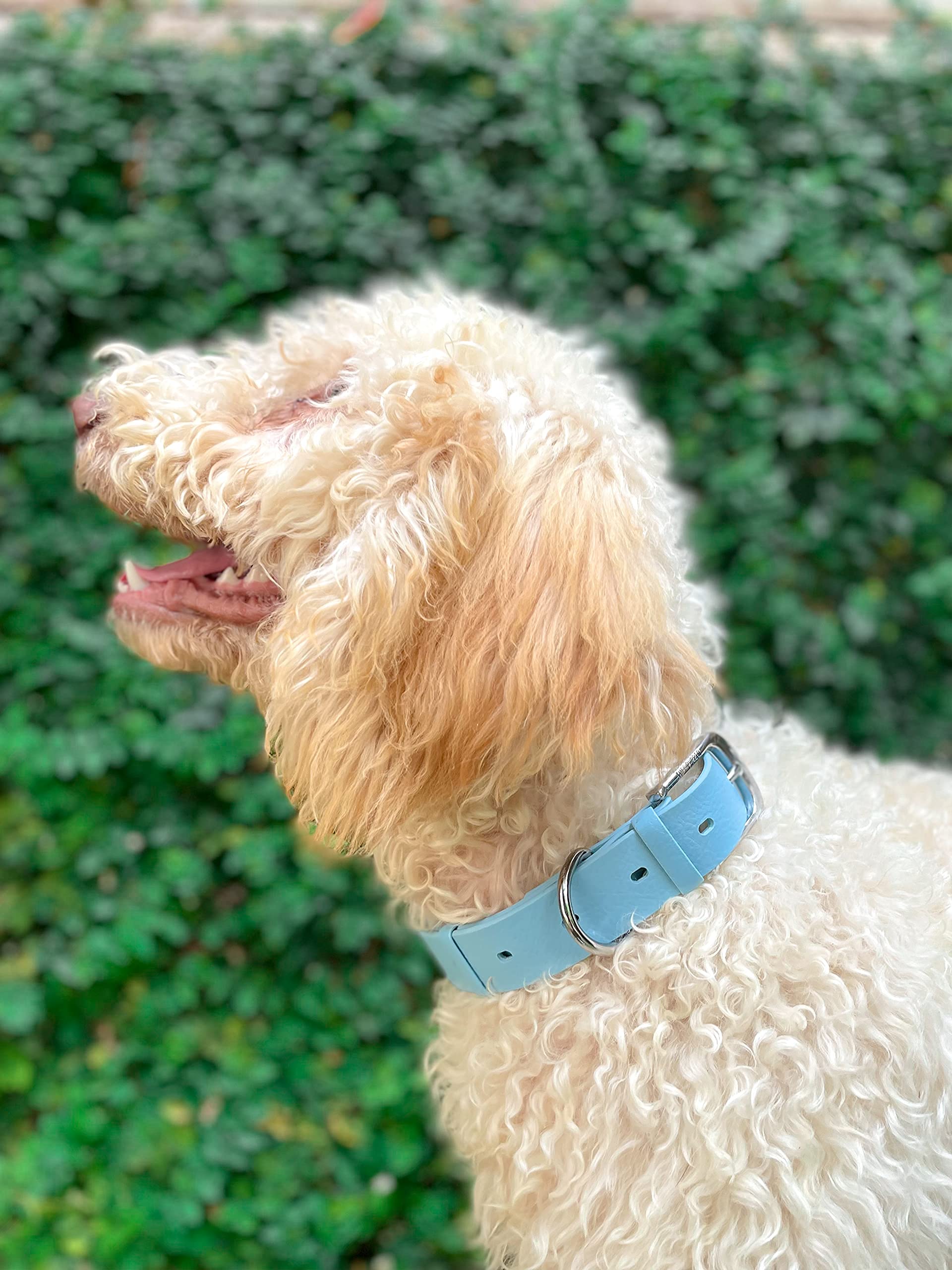 Tuff Pupper 3mm ballistic polymer weave resists tearing in rough play.