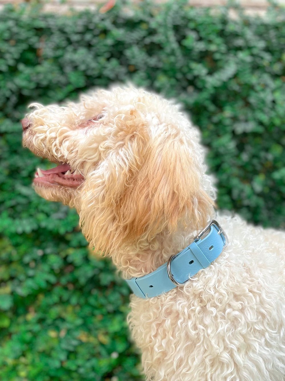 Tuff Pupper 3mm ballistic polymer weave resists tearing in rough play.