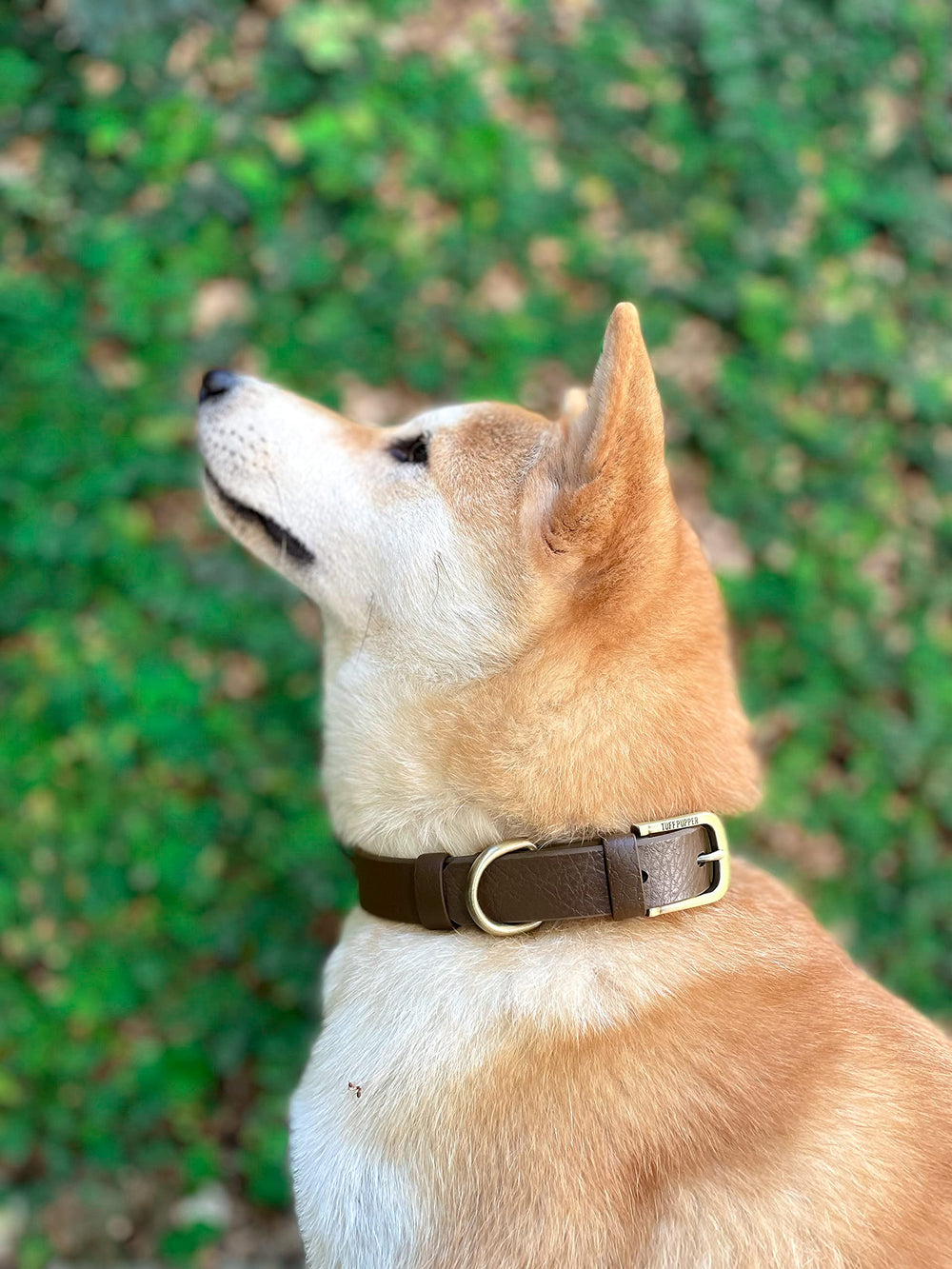 Tuff Pupper 3mm ballistic weave boosts strength without bulk.