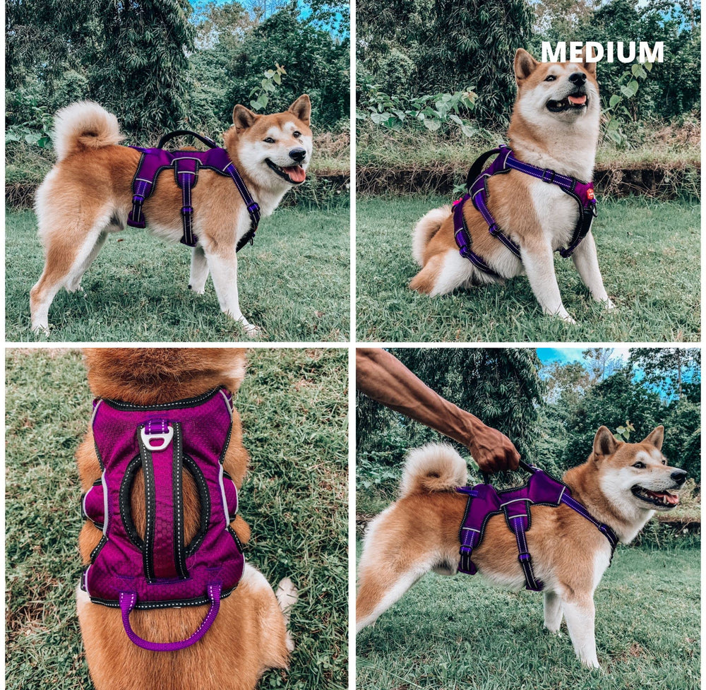 Tuff Pupper 5-point adjustable fit harness side view for personalized comfort.