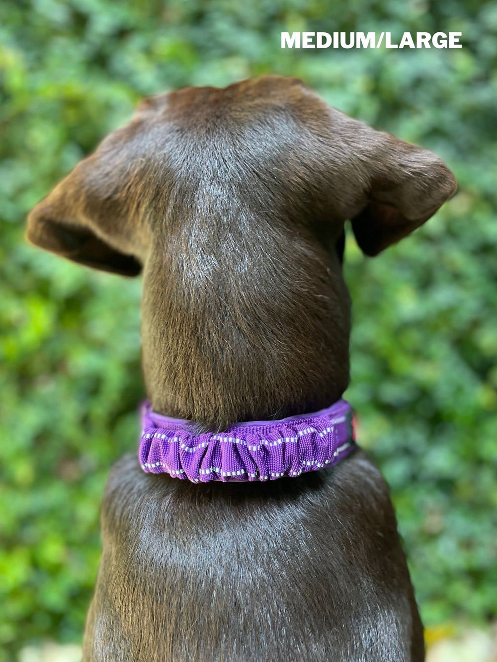Tuff Pupper adjustable sizes chart—fit many dog breeds with proper neck measurements