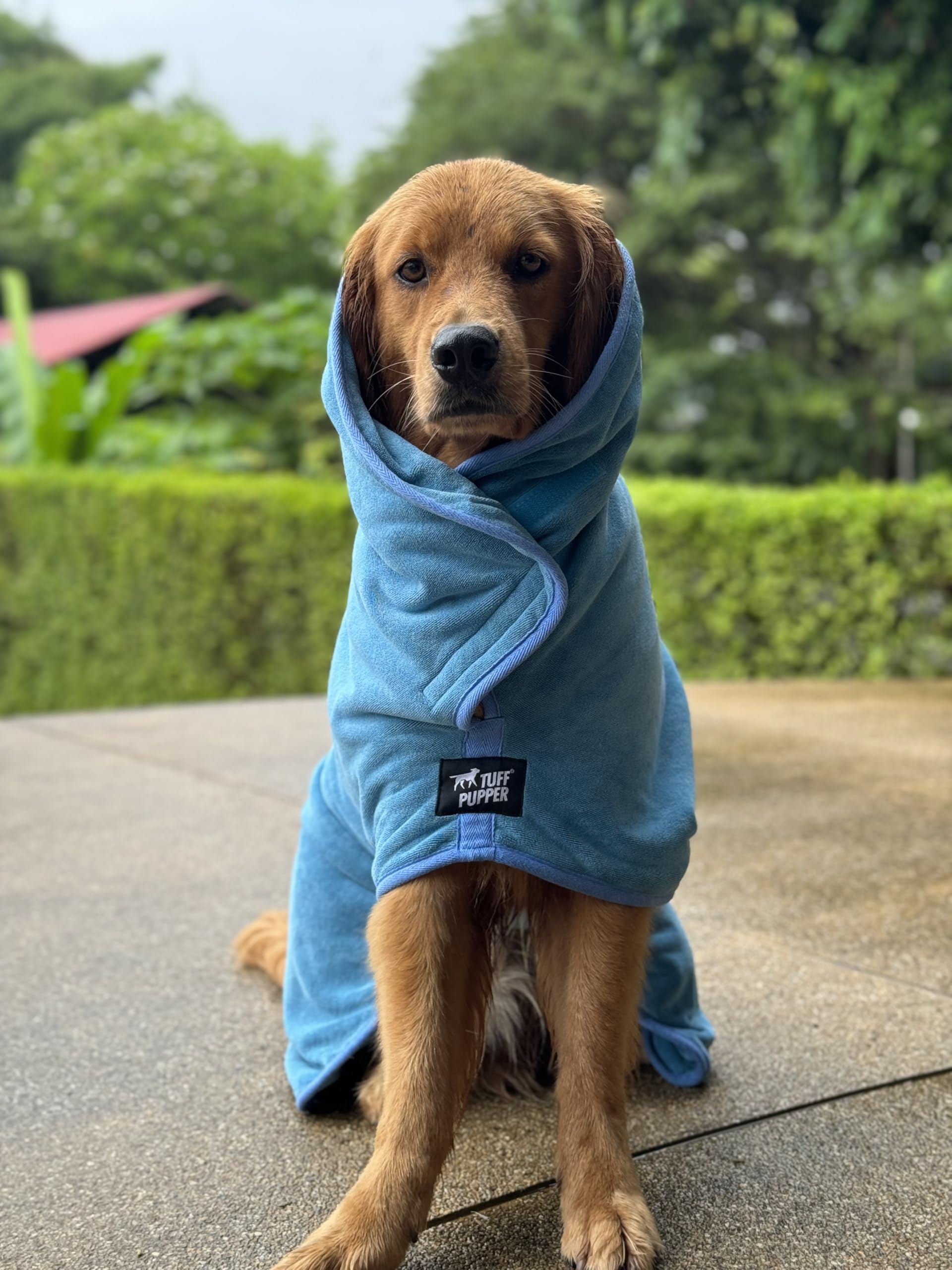 Tuff Pupper after-bath robe on dog demonstrates mess-reducing drying routine