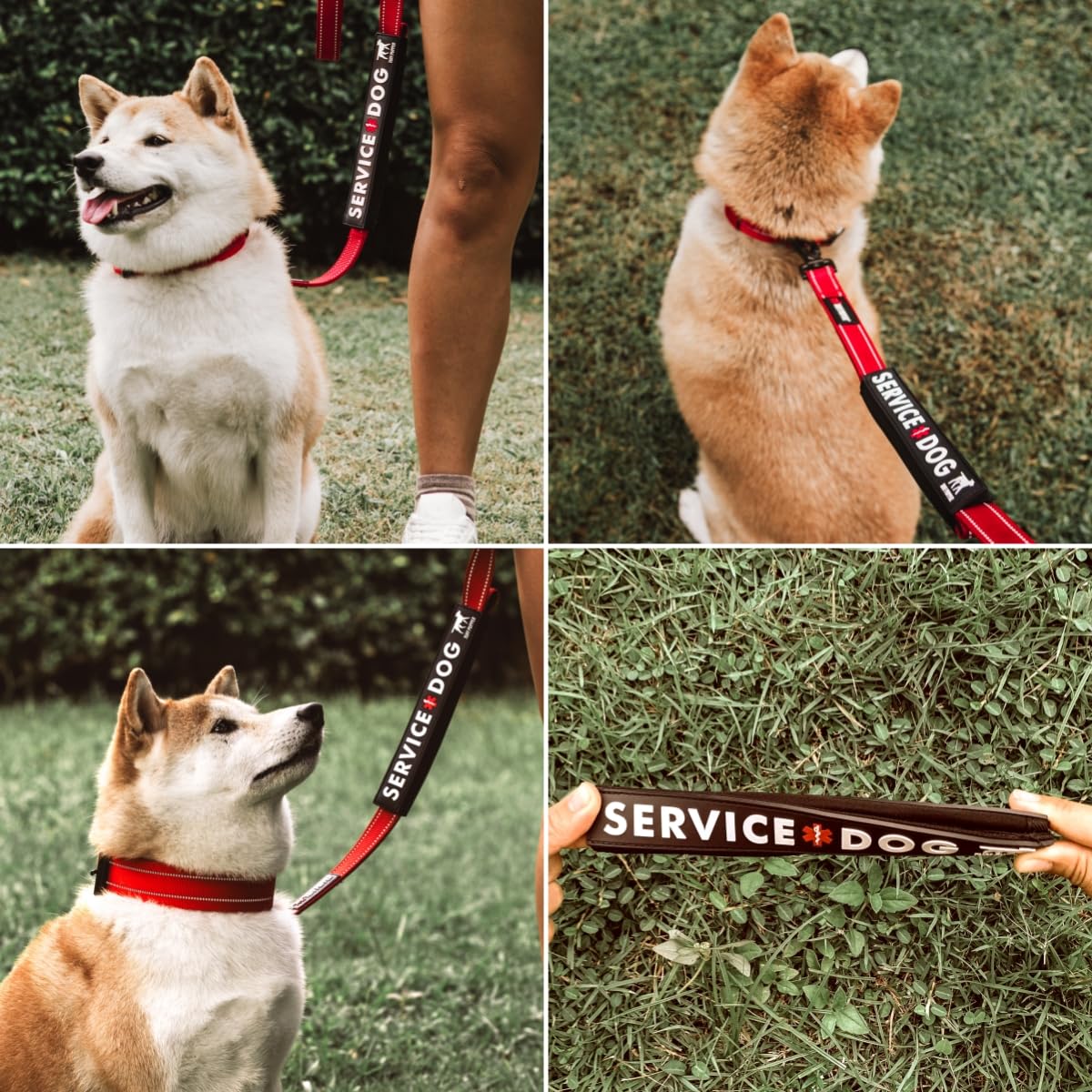 Instalación fácil con cierre seguro, sin dañar la correa, Tuff Pupper.