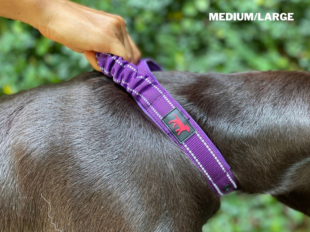 Tuff Pupper ballistic nylon material—extra tough construction for daily use