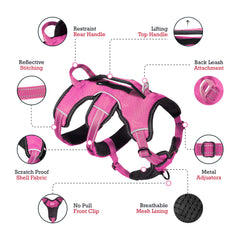 Tuff Pupper ballistic nylon strap highlights strength with flexible wear