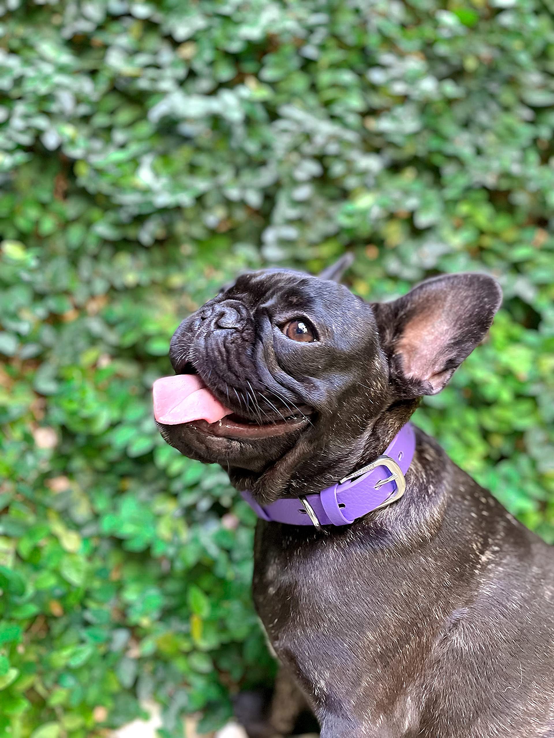 Tuff Pupper Ballistic Polymer Weave detail reveals 3mm thick durability.