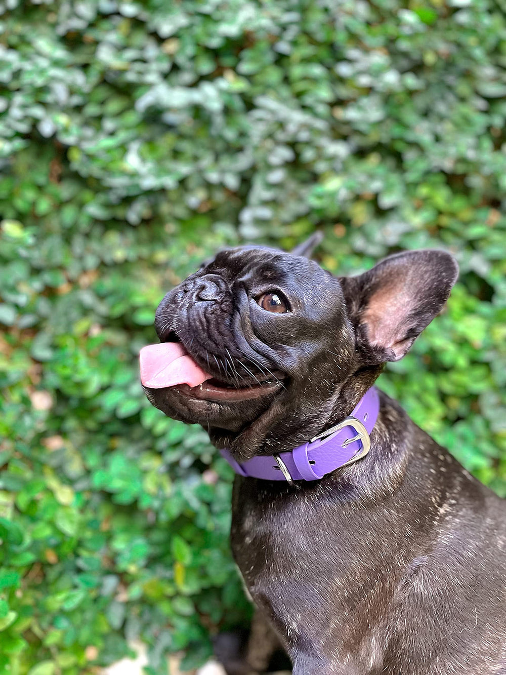 Tuff Pupper Ballistic Polymer Weave detail reveals 3mm thick durability.