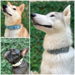Tuff Pupper Classic with rust-proof brass buckle for long-lasting hardware