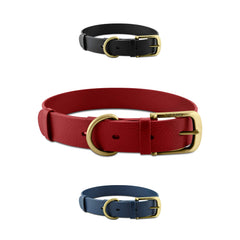 Tuff Pupper classic heavy-duty collar closeup shows brass buckle and durable weave.