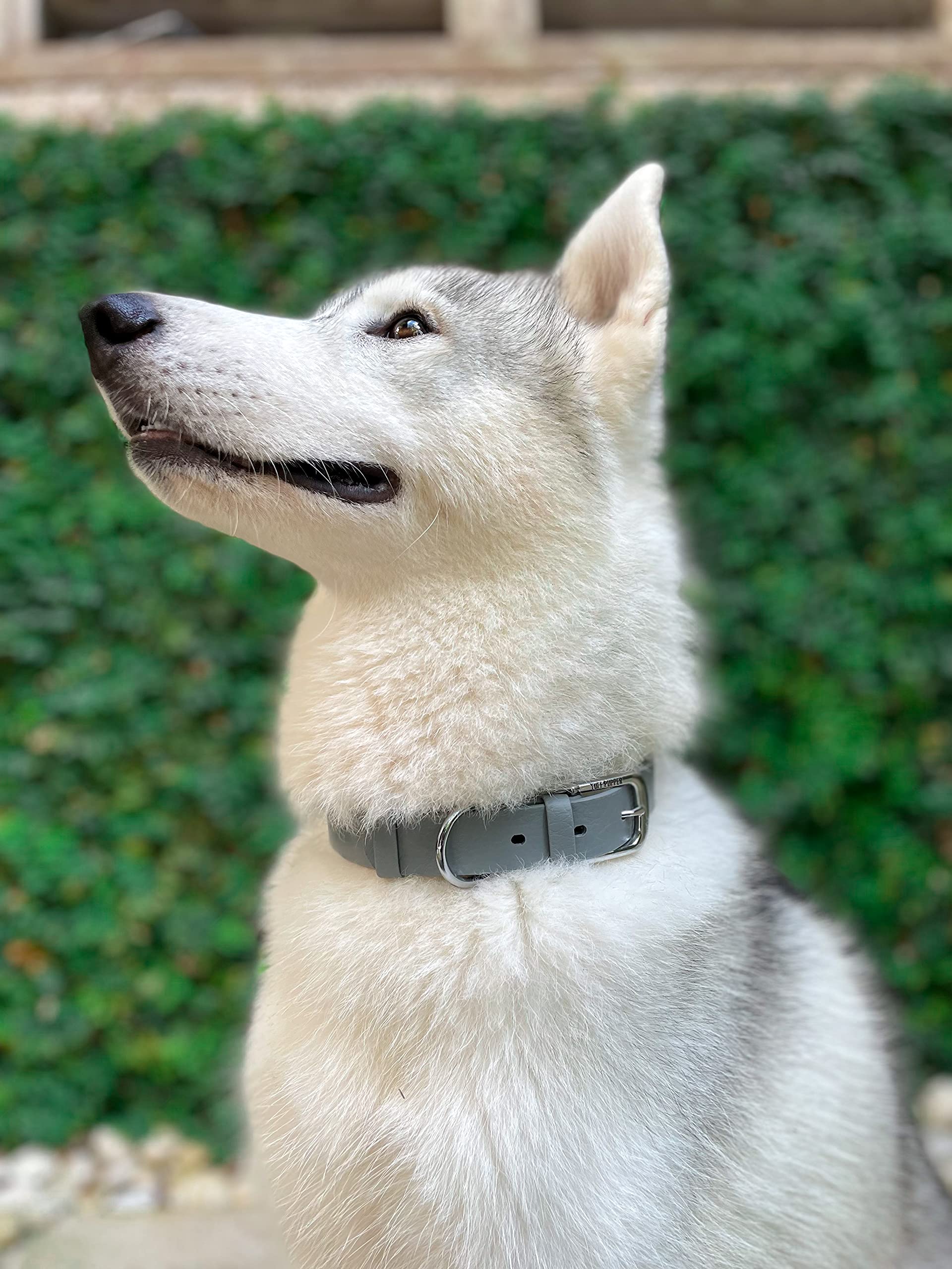 Tuff Pupper 3mm ballistic weave collar for tear resistance