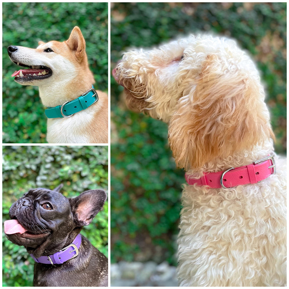 Tuff Pupper Classic collar leather-style grain conveys stylish, lightweight design for comfortable daily wear.