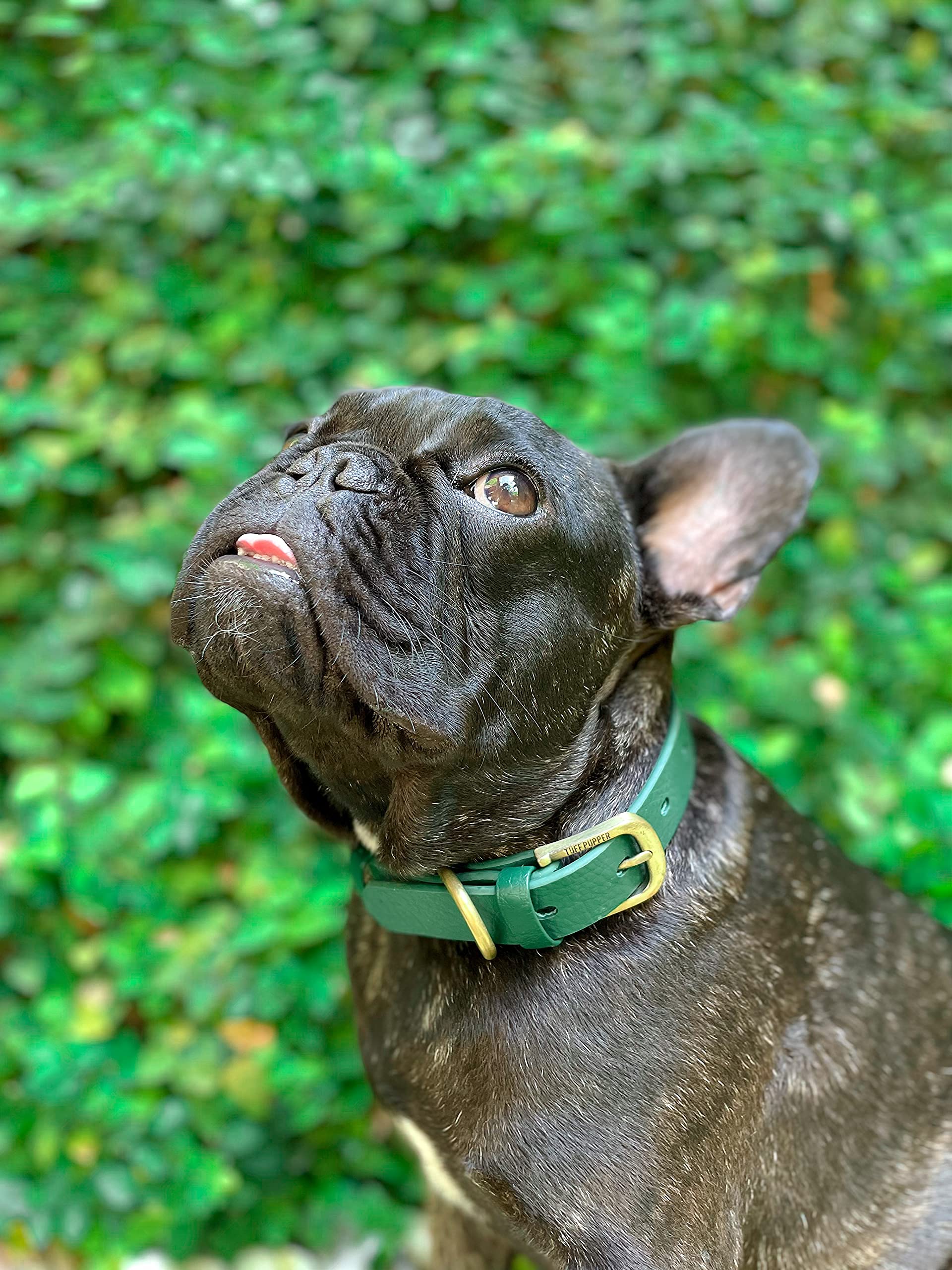 Tuff Pupper Classic collar leather-style grain adds stylish low-profile look