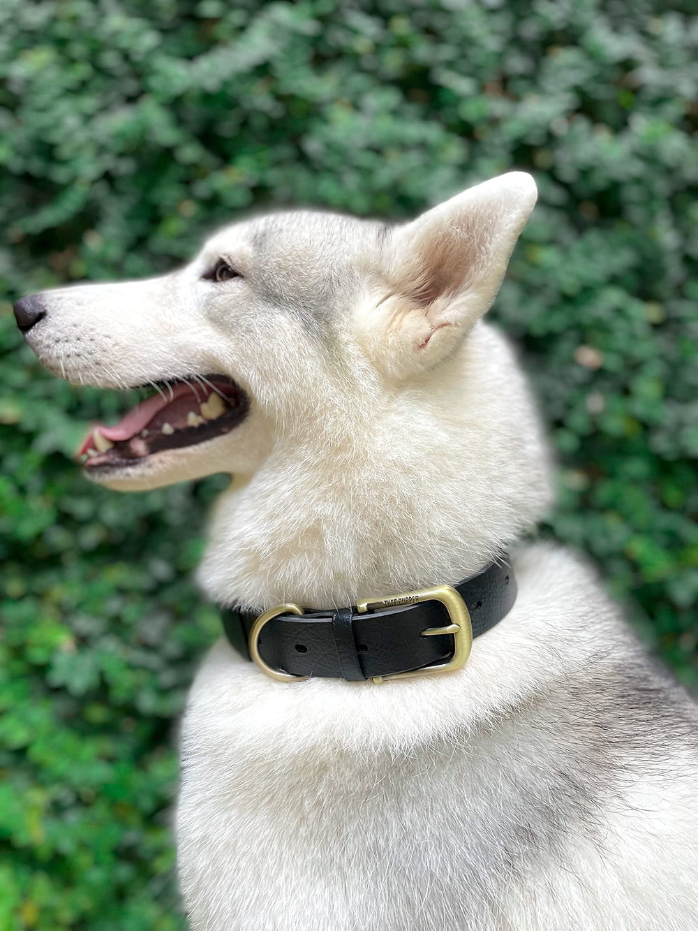 Tuff Pupper Classic metal weave close-up demonstrates durability