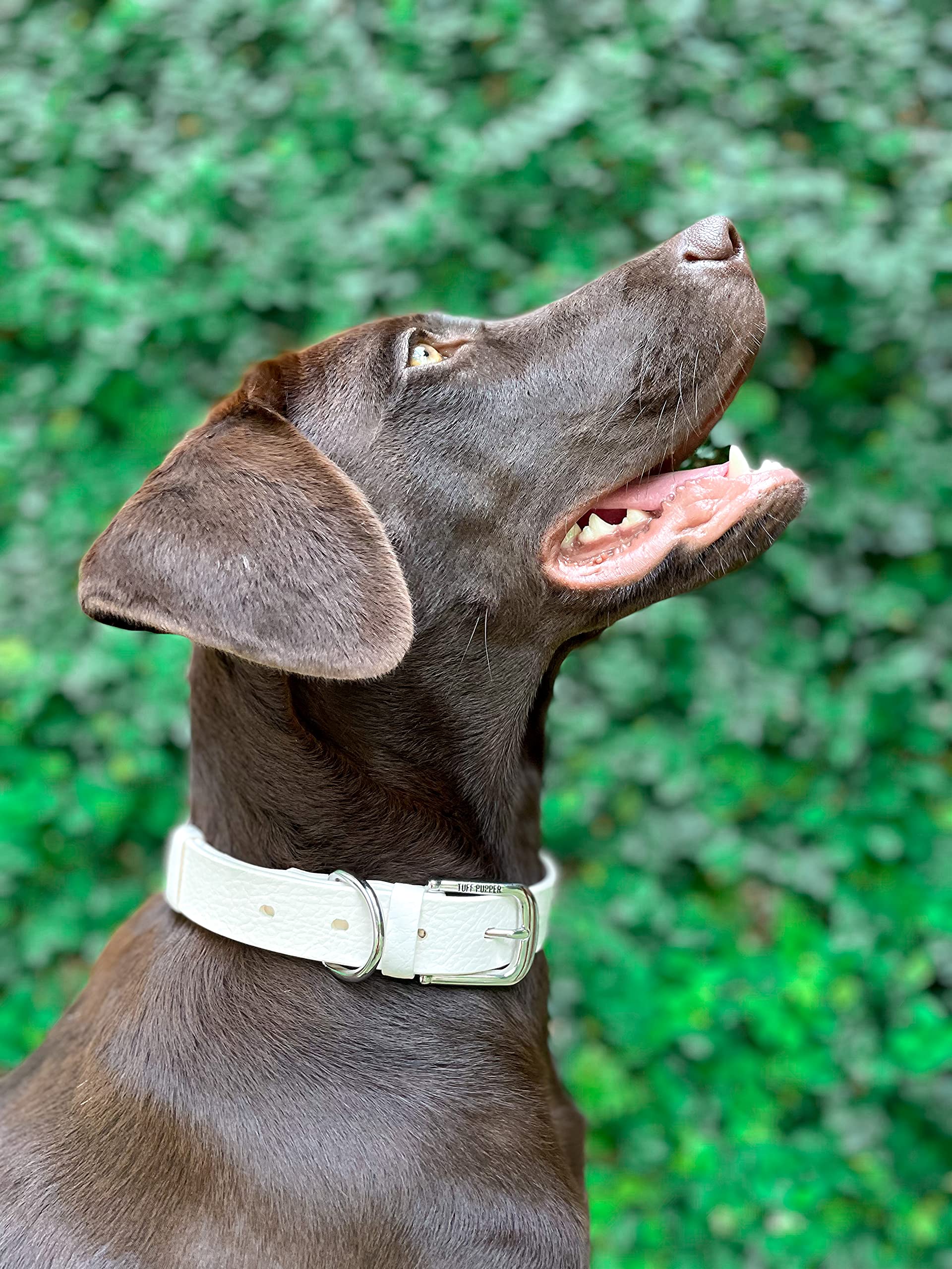 Tuff Pupper Classic is odor-free and waterproof for daily adventures