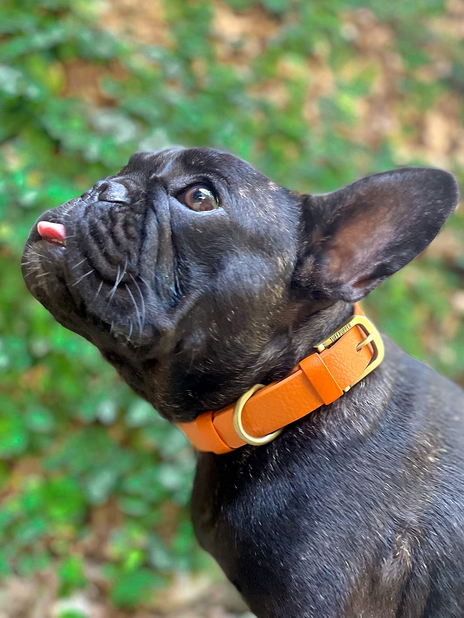 Size chart display for four sizes ensuring proper fit on Tuff Pupper collar.