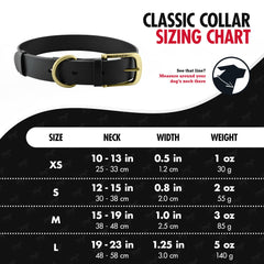 Tuff Pupper Classic collar waterproof in rain showing odor-free performance