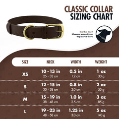 Tuff Pupper Classic waterproof dog collar in water demonstrates odor-free outdoor adventures