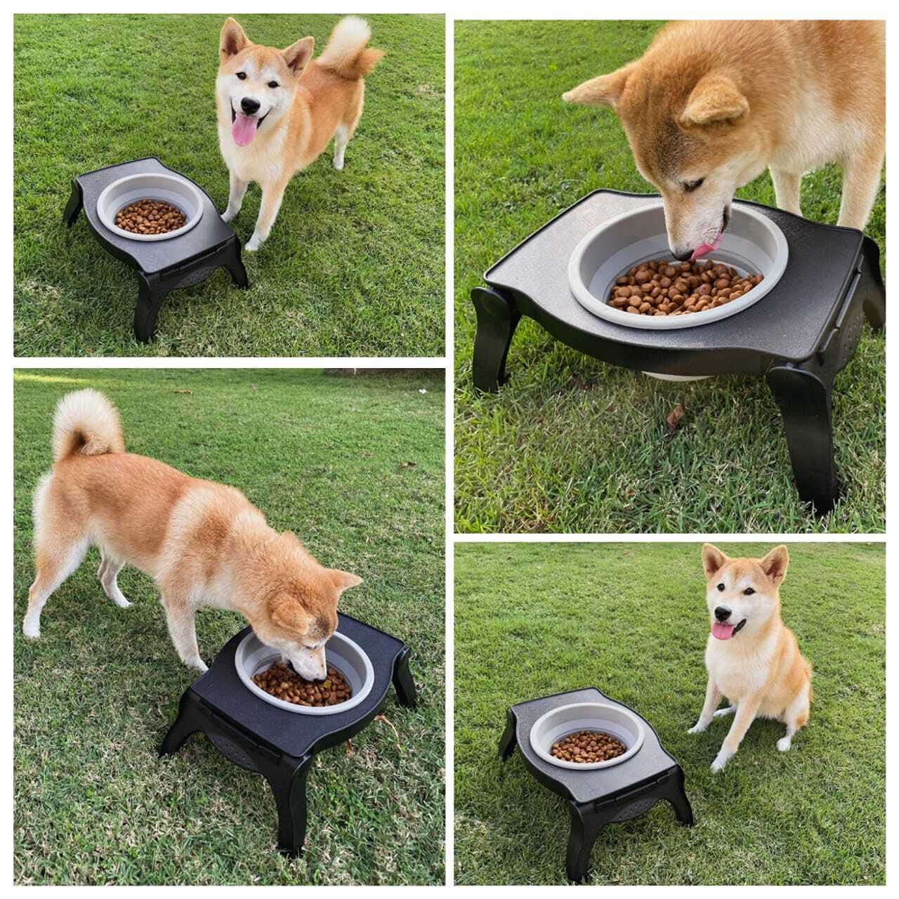 Tuff Pupper collapsible travel bowl open showcases 80oz capacity for large dogs.
