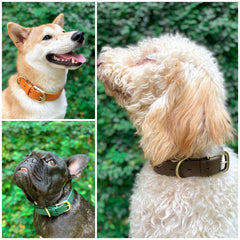 Tuff Pupper leather-style collar adds elite look with lightweight comfort.