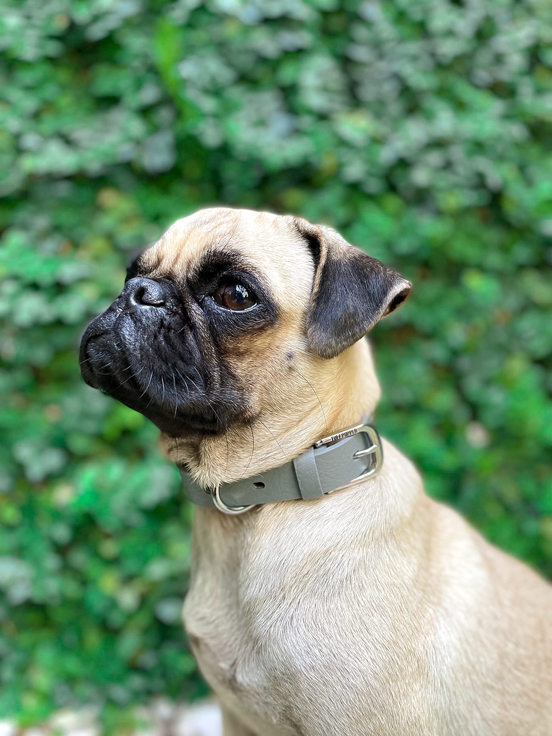 Tuff Pupper tejido de 3 mm en collar, con alta durabilidad.