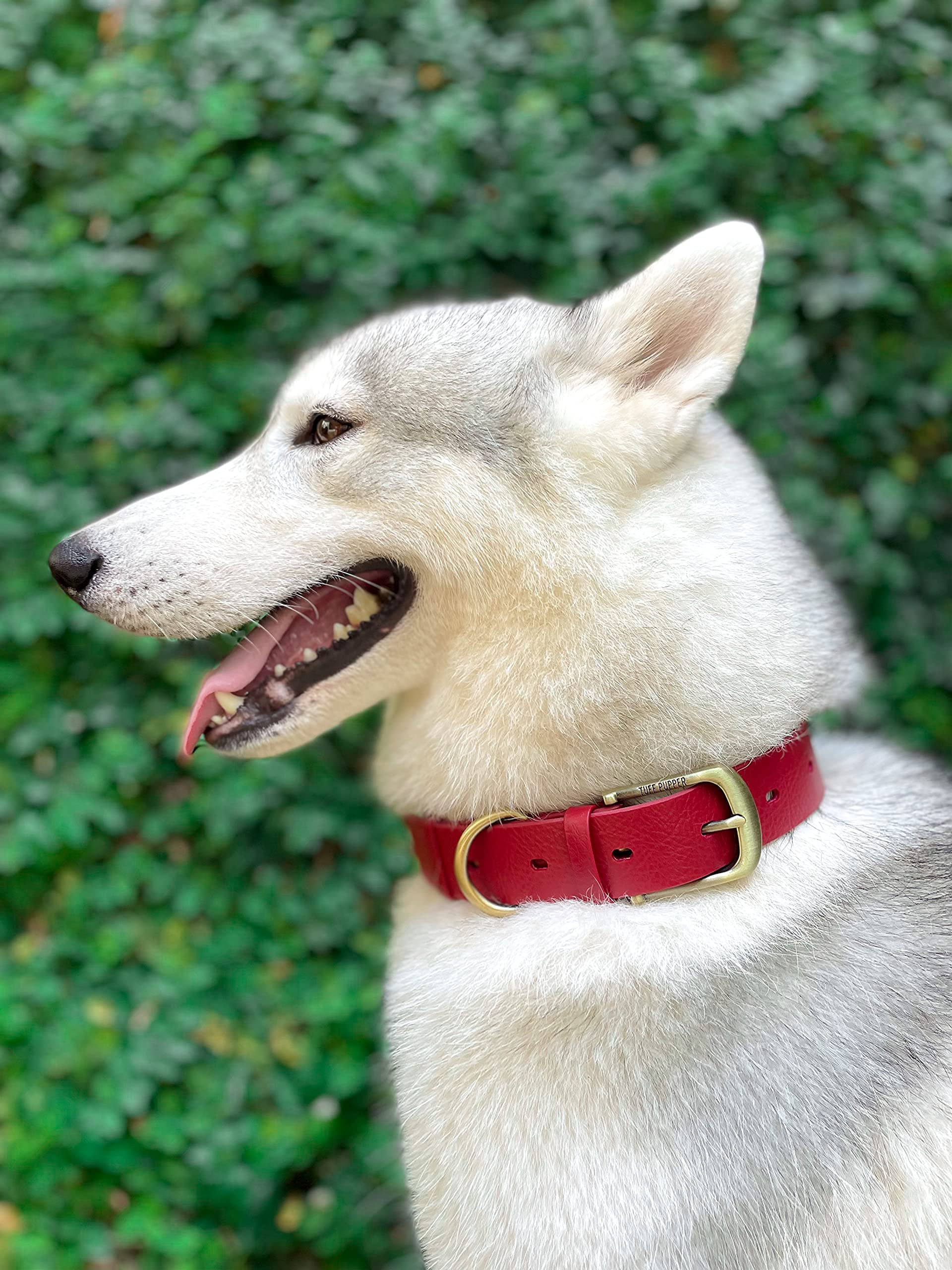 Tuff Pupper rust-proof hardware resists corrosion during outdoor adventures