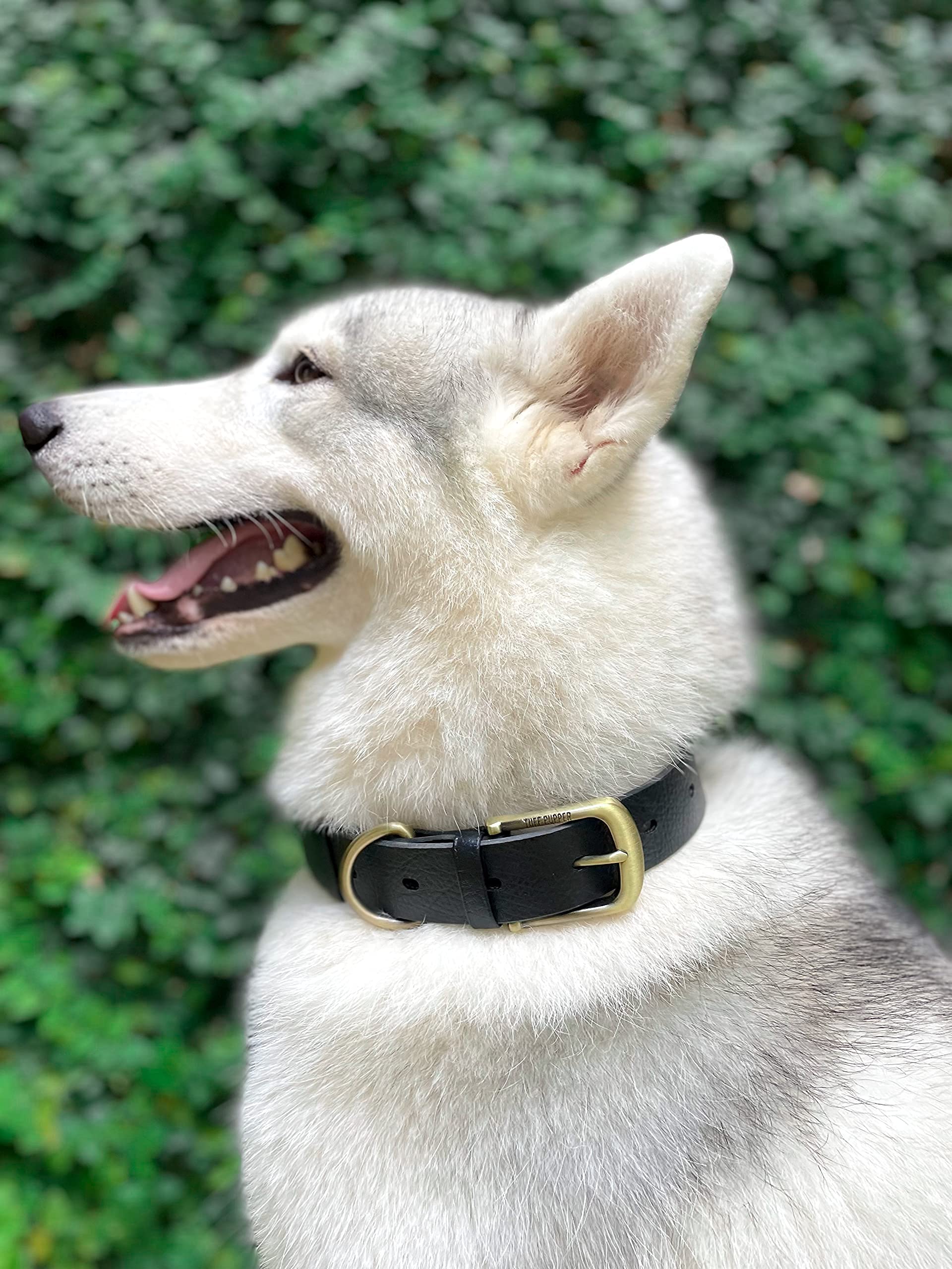 Tuff Pupper Dirt Mud Friendly Collar surface resists moisture and grime during outdoor play