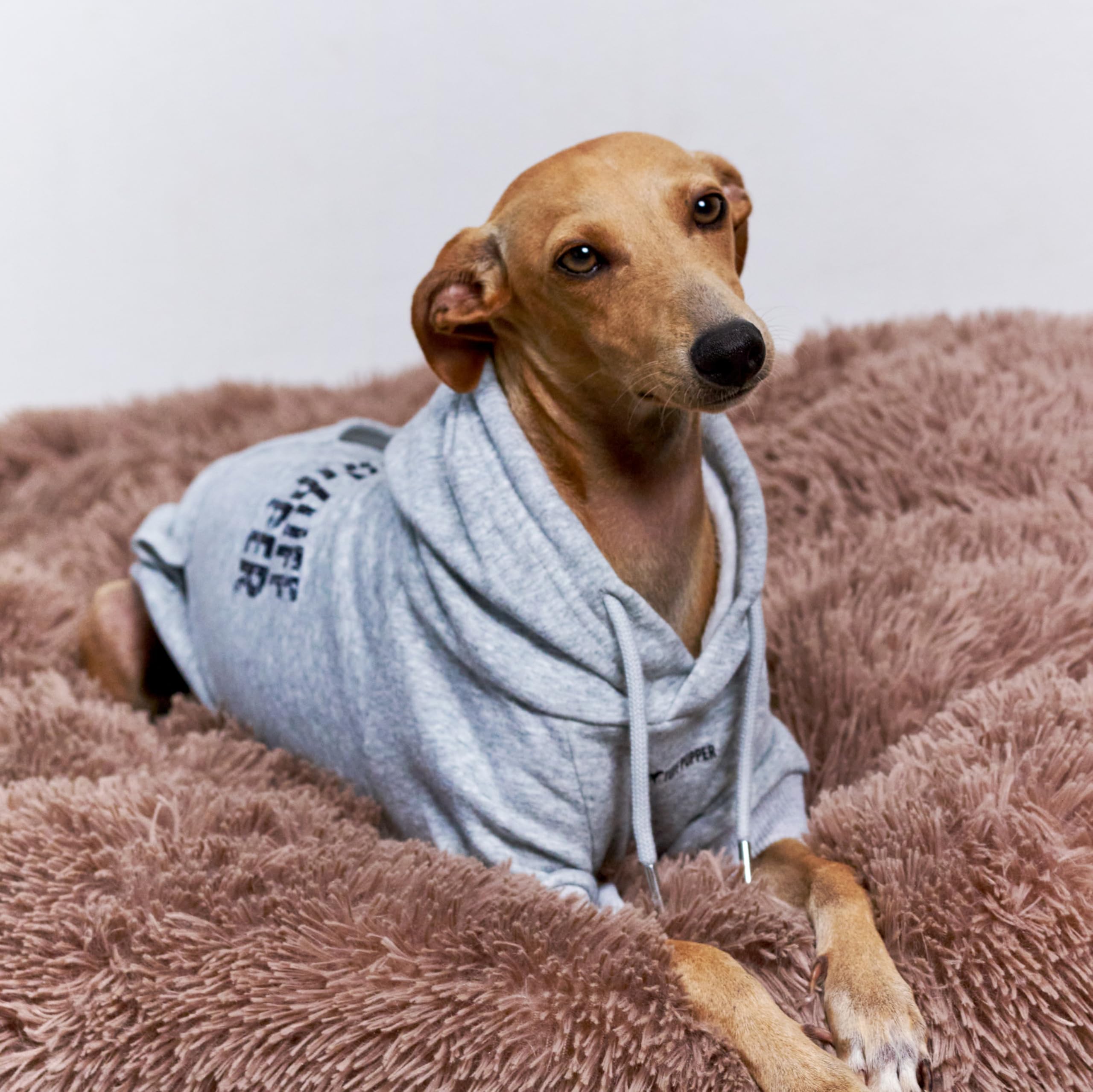 Tuff Pupper dog hoodie durable stitching ensures long-lasting wear.