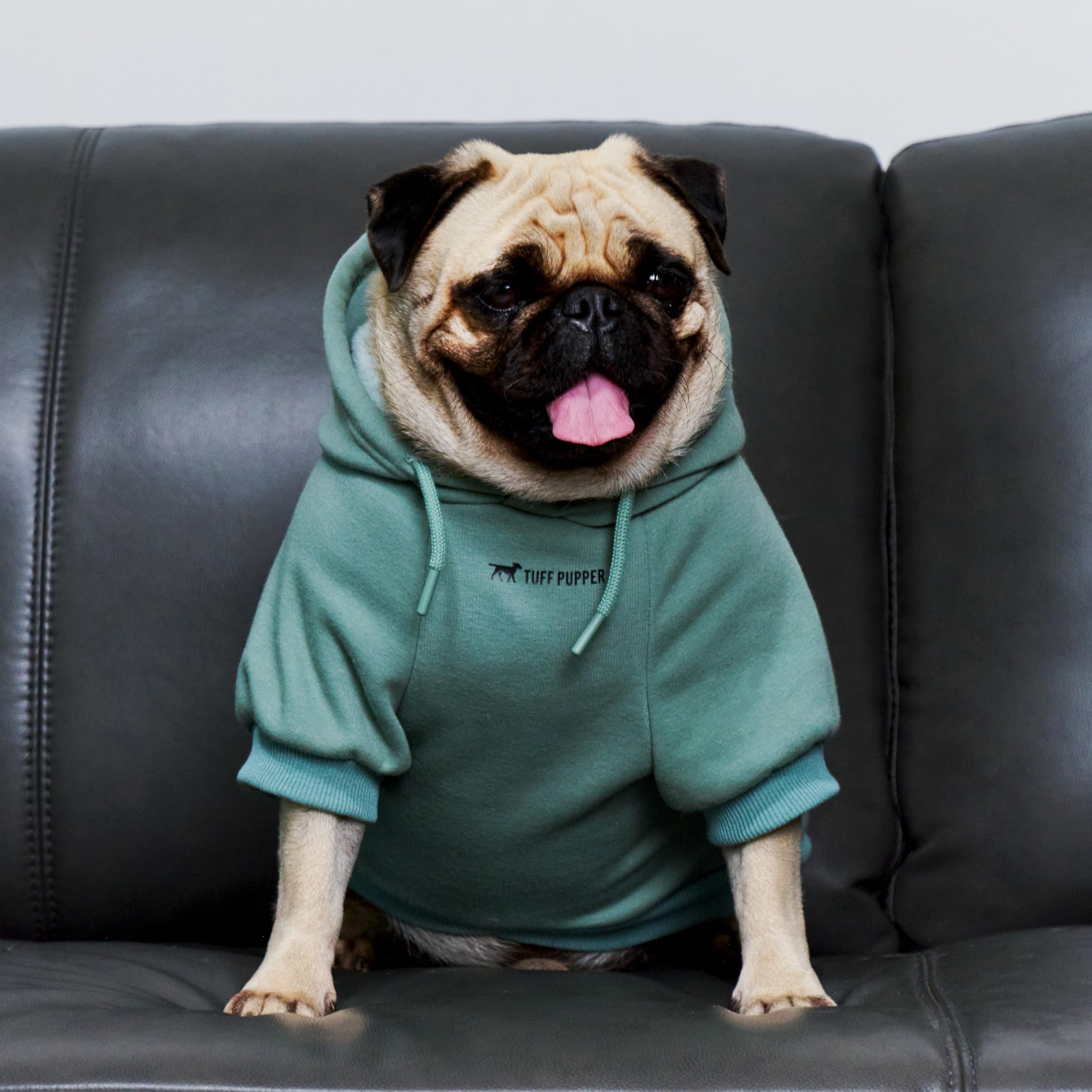 Tuff Pupper durable stitching photo conveys long-lasting quality for active pups