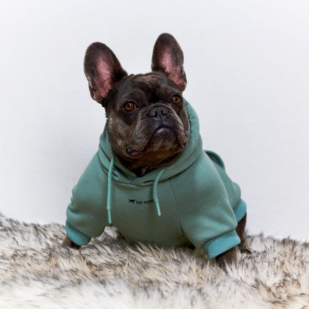 Tuff Pupper dog hoodie durable stitching promises long-lasting wear