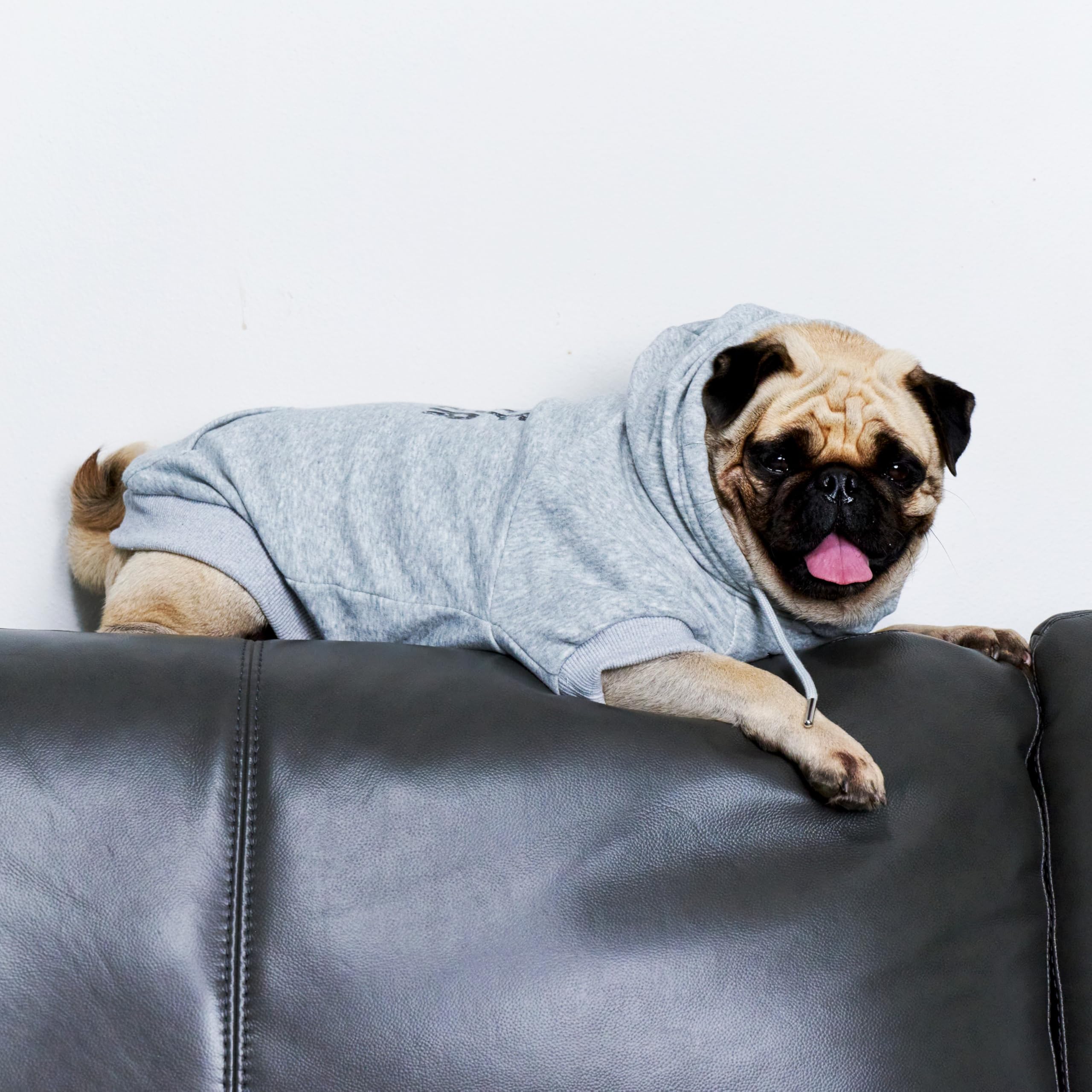 Tuff Pupper durable stitching closeup emphasizes reinforced seams for long-lasting use.