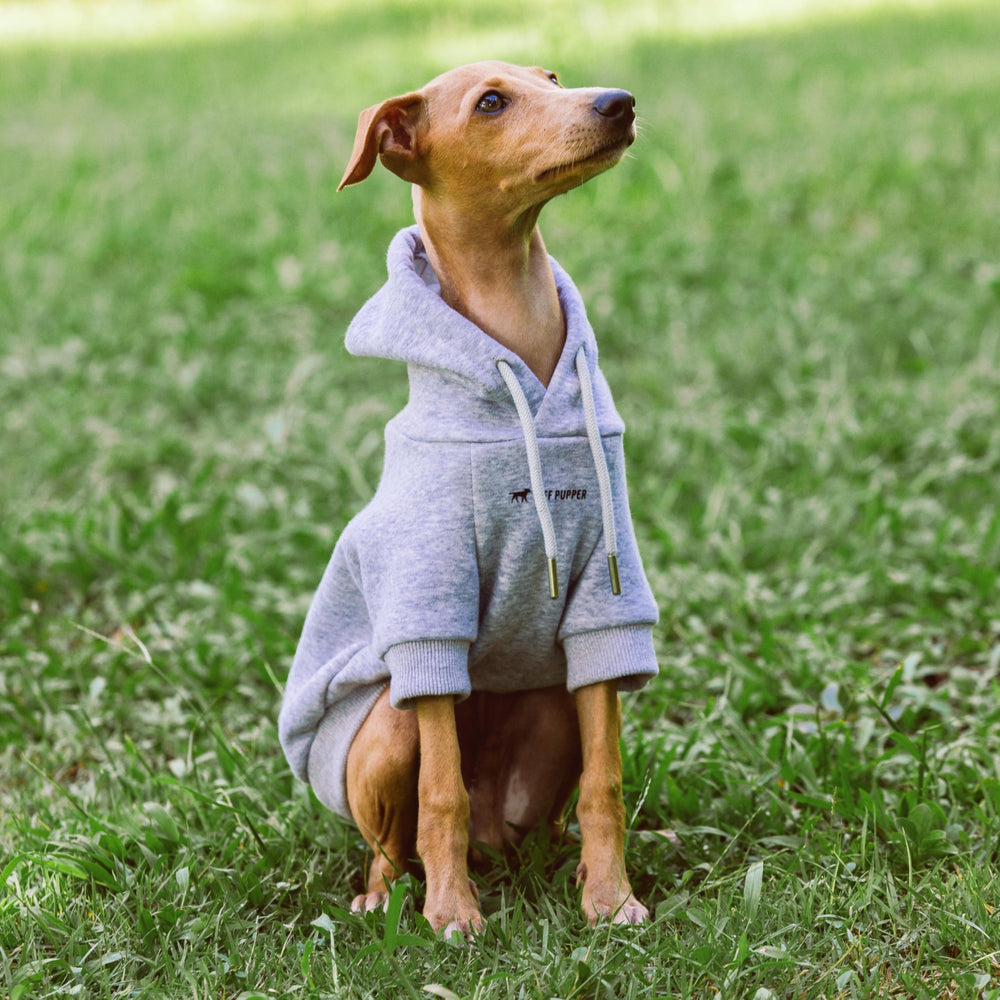 Tuff Pupper dog hoodie machine washable fabric simplifies cleaning after adventures.