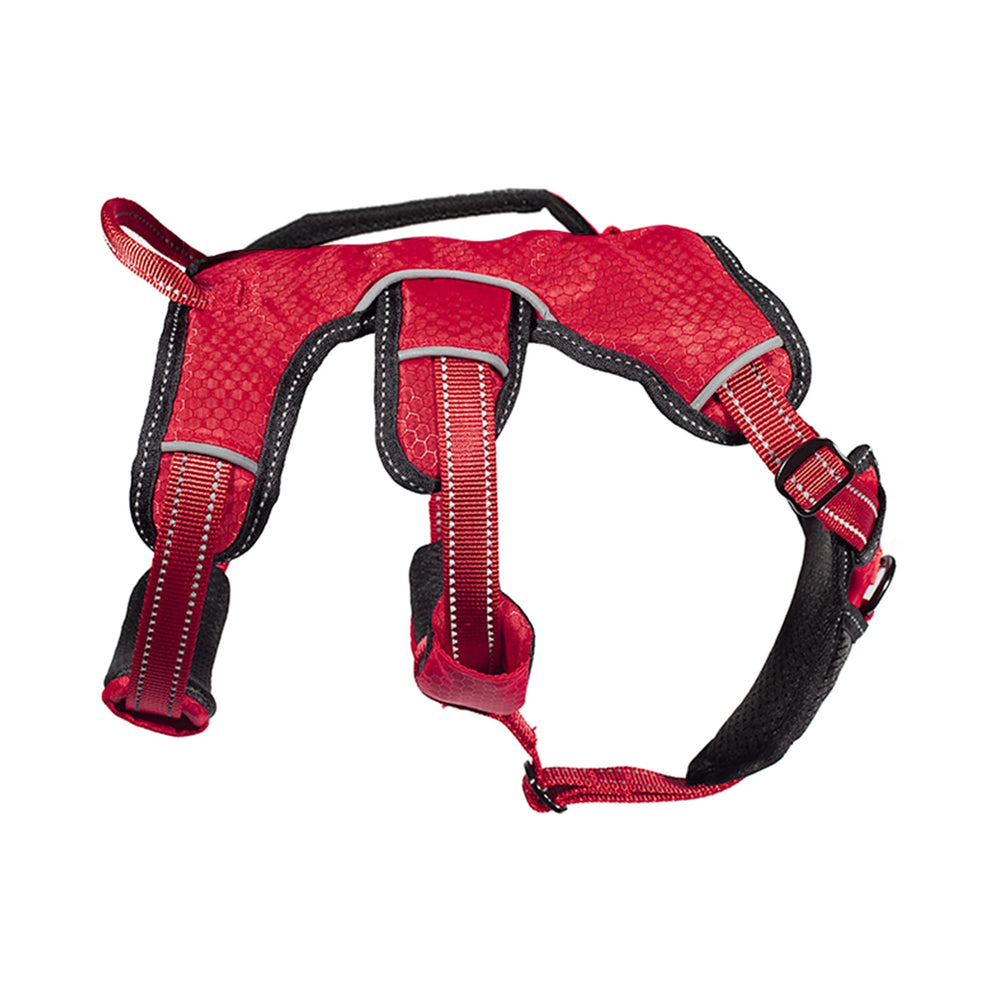 Tuff Pupper dog-walk outdoors image shows secure, comfortable control during busy sidewalks.