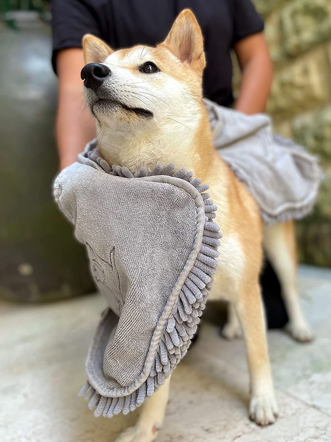 Tuff Pupper Drying muddy paws after hike shows mess-ready performance.